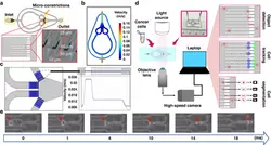 4. Integrated Microsystems