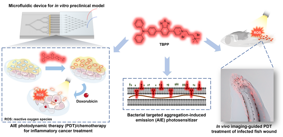 New Paper!