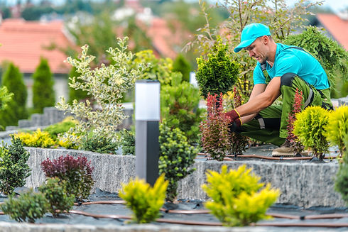 A gardener is carefully arranging and maintaining various plants in a rooftop garden in a