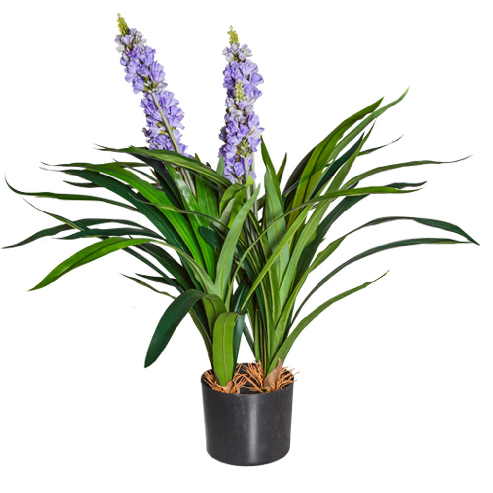 Decorative Lavender Plant; 70cm, Purple