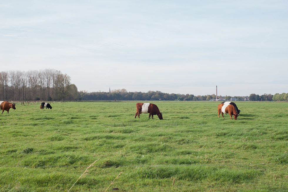 2015_04_HoogWaterGeul_DenisGuzzo_Veessen-Wapenveld-3793.webp