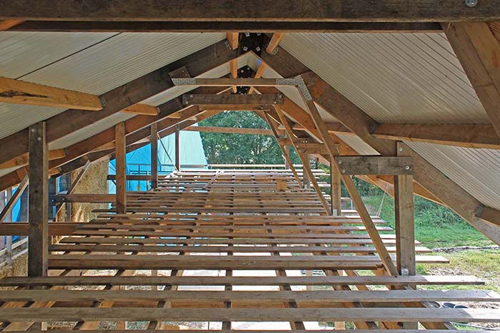 SUPERUSE ON SITE CESARE PEEREN2020 09 SUPERUSE_ON_SITE__GREENHOUSE_HOBBITSTEE__DENISGUZZO-