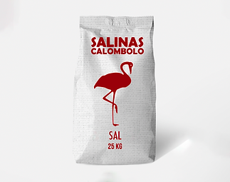 SAL SEGUNDA SEM IODO.png