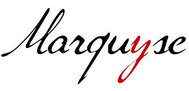 Logo-Marquyse-rect_edited.jpg