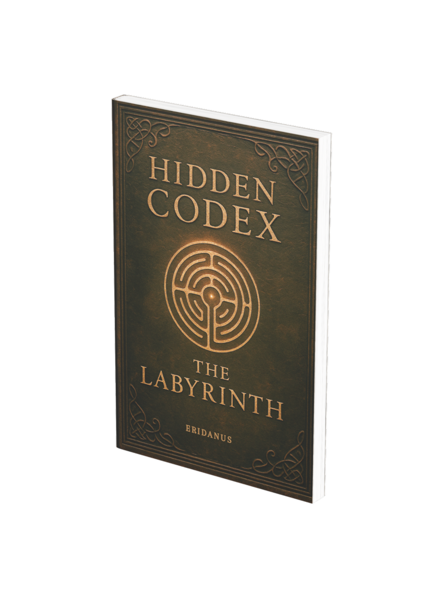 Hidden Codex: The Labyrinth