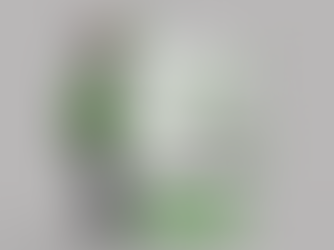 A1 Mini Enclosure - Print/Test Phase