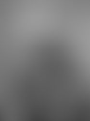 Justice Harlan's Dissenting Opinion