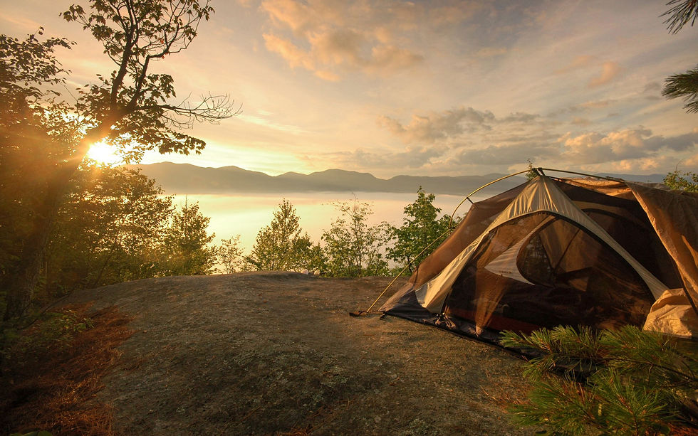 Campsite Background.jpg