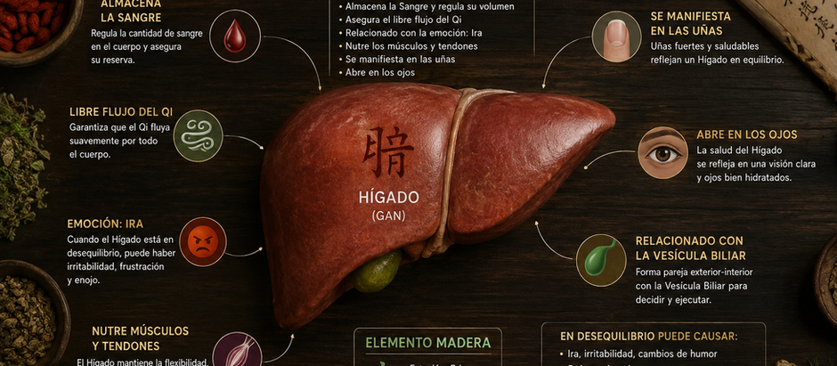 El Hígado en la Medicina Tradicional China