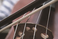 Close-Up of Violin