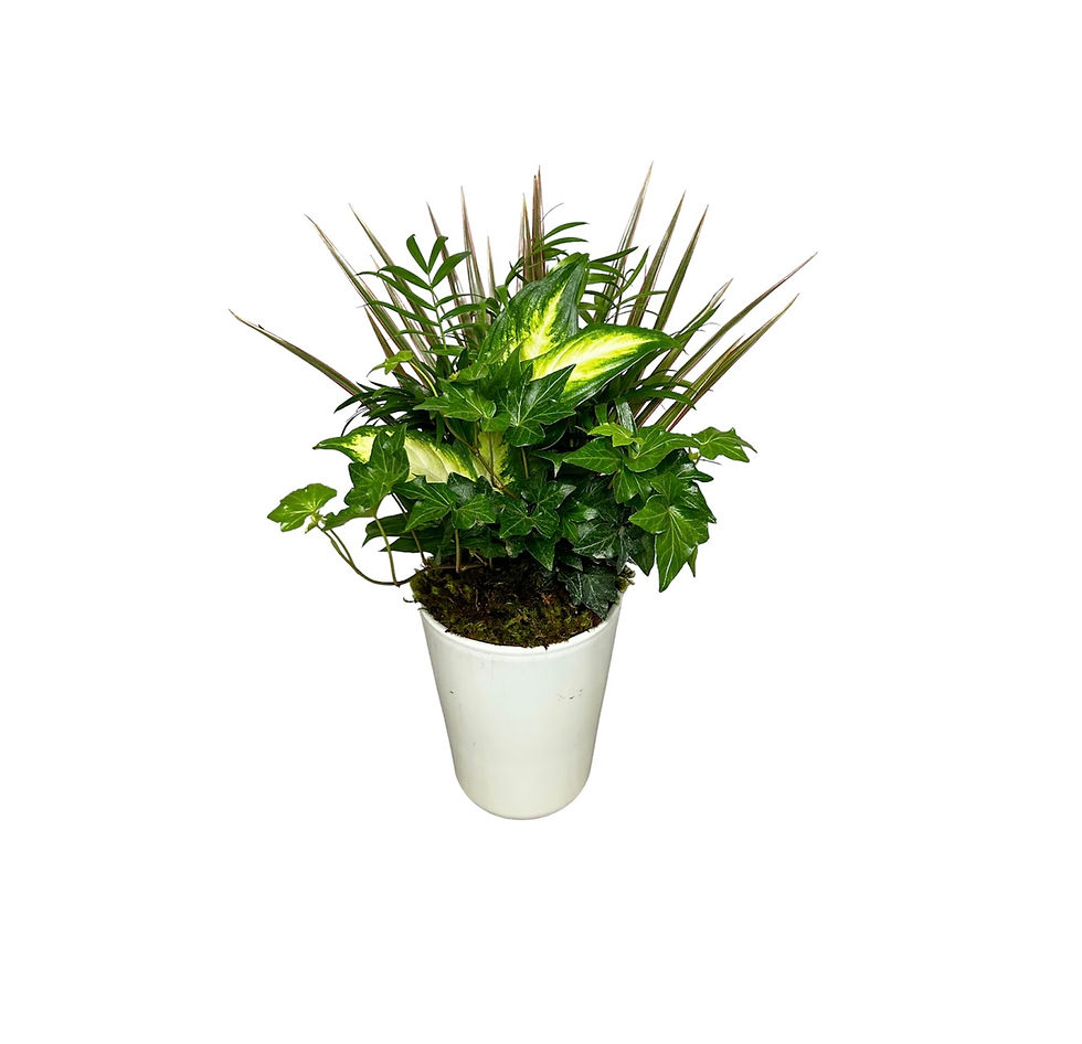 Tall White Ceramic