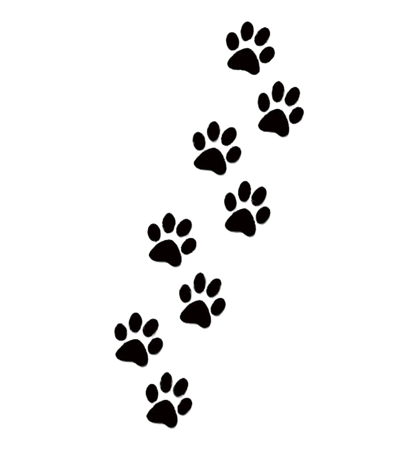 paw print design