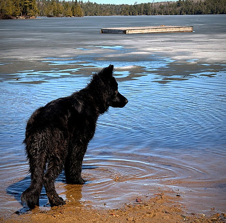 Lake life