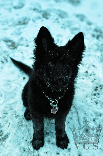 Bright eyes snow vibes