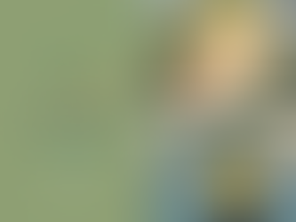 A day with Pinã Colada'