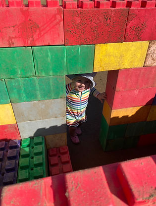 Aspen & Giant blocks.JPG