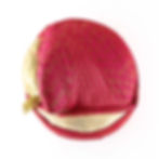 Thumbnail: Rani Designer Butta Puneri Pagadi