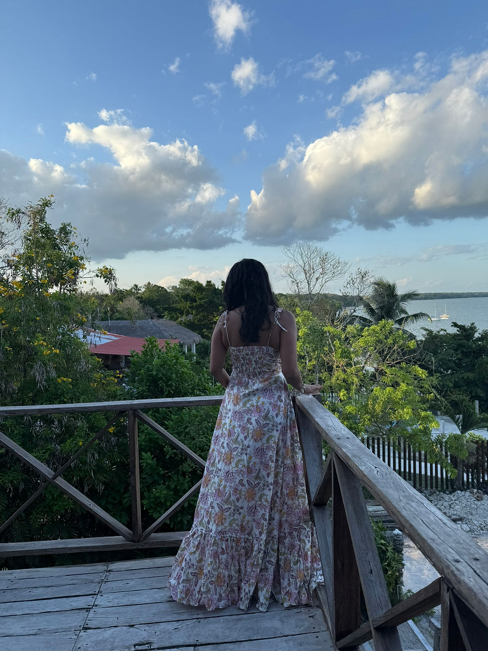 Thumbnail: L'Amour Cotton Maxi Dress