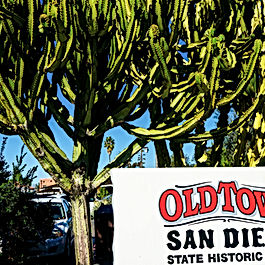 Old Town San Diego commercial retail storefront and professional office property