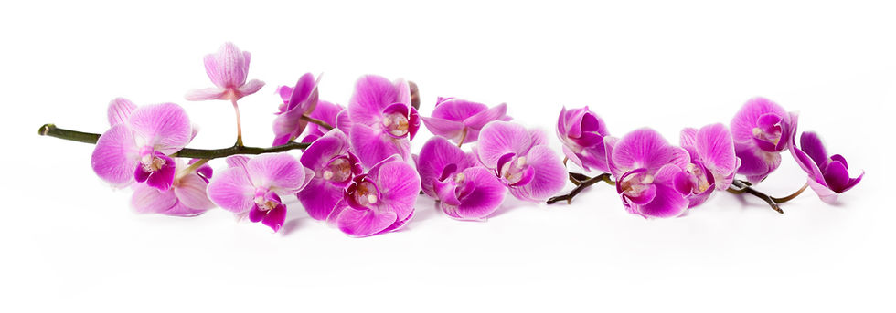 AdobeStock_196318328.jpeg