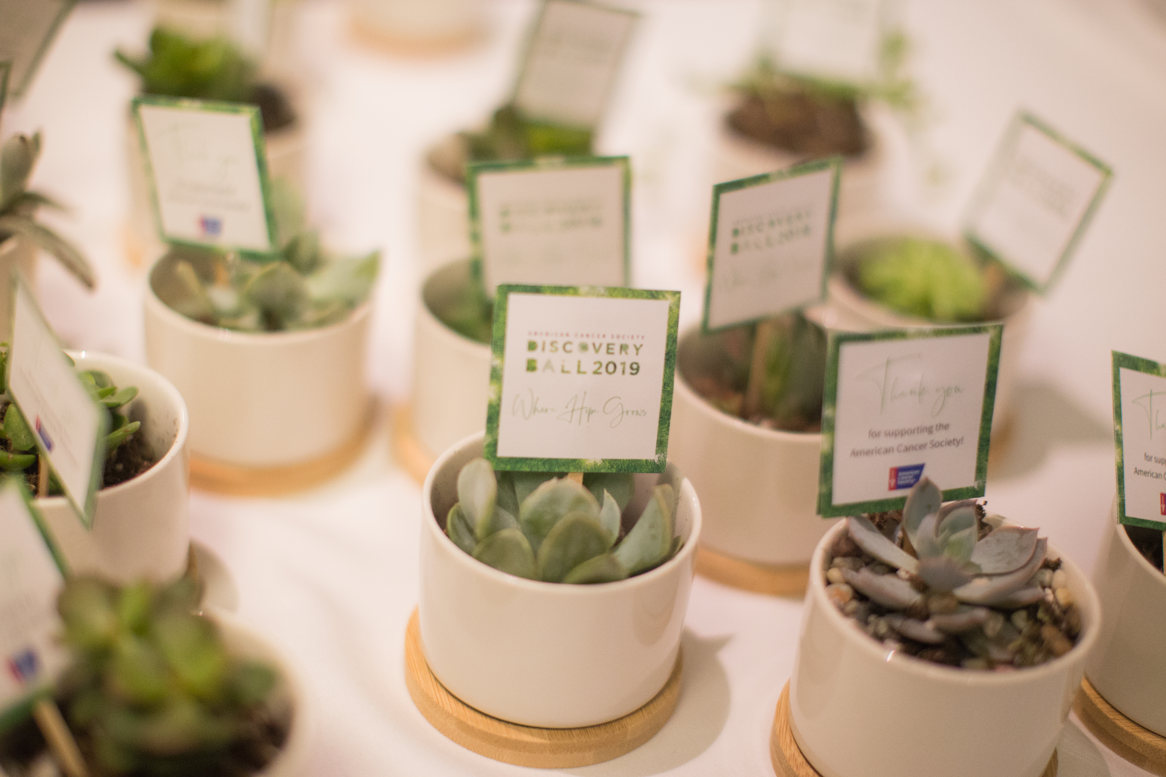 American Cancer Society Discovery Ball 2020 Chicago