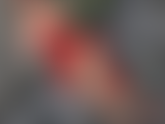 ℓαѕт ∂αуѕ σƒ ѕυммєя