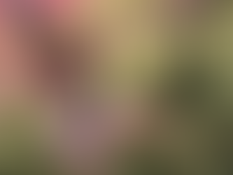 нαяνєѕт тιмє