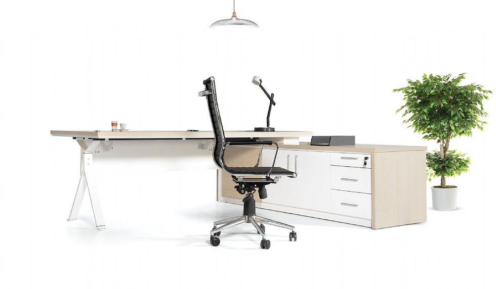 Küçük resim: WALK CEO Yönetici Masası