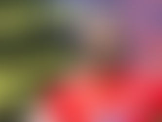 Star Sport Academy Signs Mohamed Buya Turay for Second Phase