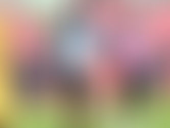 Amadou Bakayoko Signs Contract Extension with Japanese Club