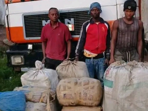 Police Clamp Down on Cannabis Trafficking in Kenema