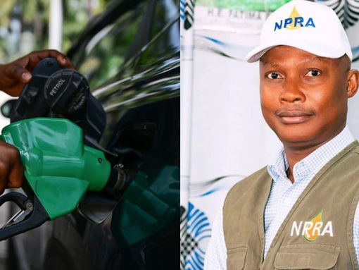 Fuel Costs Stabilized with Temporary Price Cap