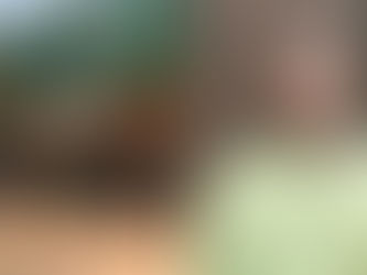 Guinea Allegedly Threatens to Annex Sokoma Village, MP Alerts Government