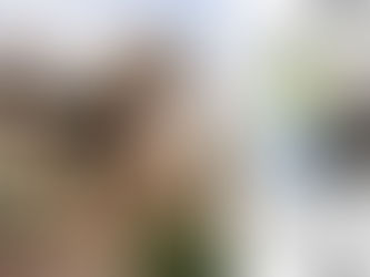 ACC to Auction Luxury Assets Recovered as Unexplained Wealth