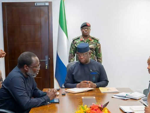 President Bio Engages in Partnership Discussions with AES Delegation