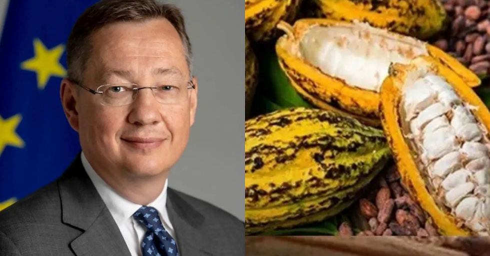 Sierra Leone Rises as EU's Third Largest Organic Cocoa Supplier