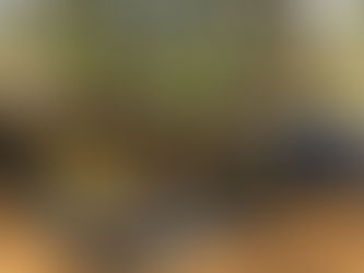 Empowerment of Sierra Leonean Youth through Vocational Skills Development