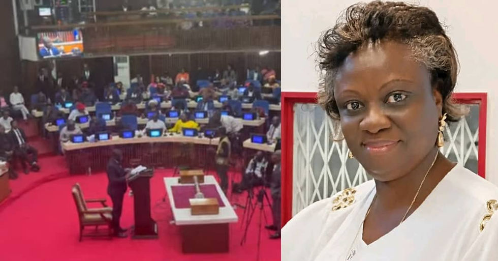 Sylvia Blyden: Constitutional Amendment Bill Could Delay 2028 Elections