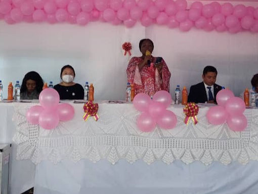 Thinking Pink Breast Cancer foundation set to conduct a Health Fair during Awareness month