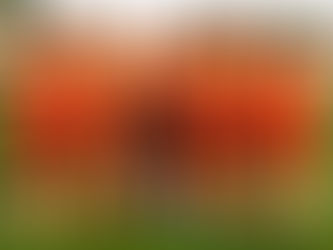 Mighty Blackpool Struggle to Find Form in Early Leone Rock Premier League Season