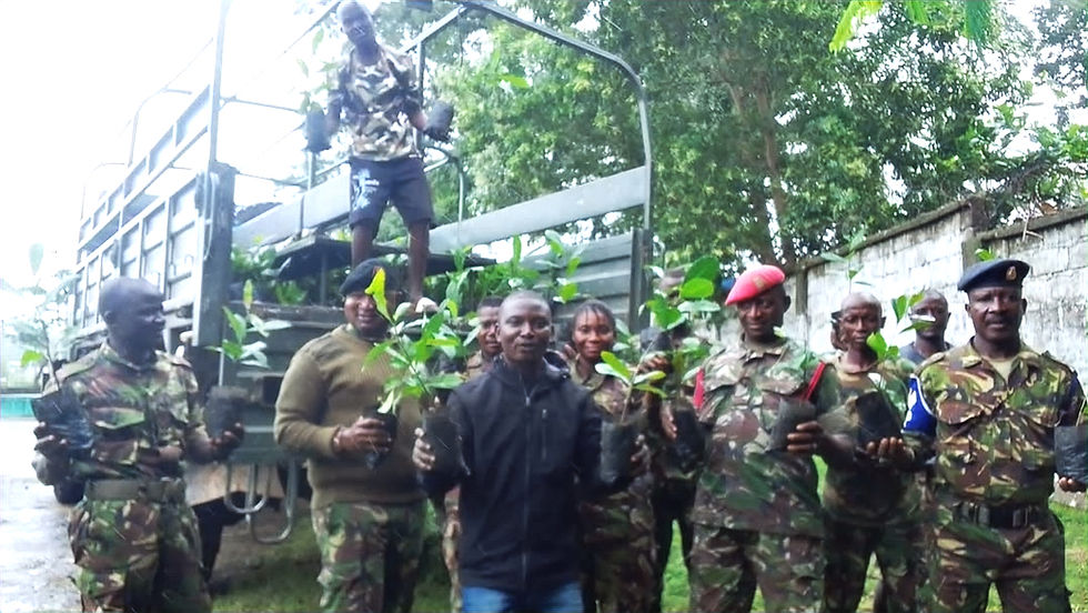 Kenema Military Receives Cashew Seedling Donation to Boost Afforestation Efforts