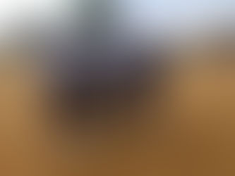 Caritas Freetown partners with Monkey Bush Community to organize a Peace Football Match