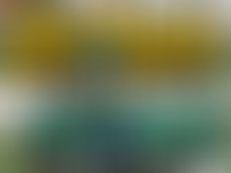 FC Kallon Host Diamond Stars in Highly Anticipated Rematch at Wellington