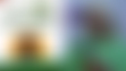 Journalist Claims Government Prioritised Party Anniversary Over Independence Day Celebration