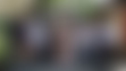 Sierra Leone Validates First Forest Emissions Benchmark