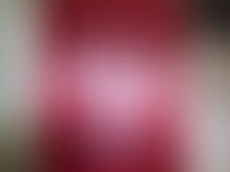 Special Olympics Sierra Leone Holds one Day Training for Field Workers 