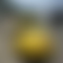 Pecamos, Como os Nossos Pais Pecaram