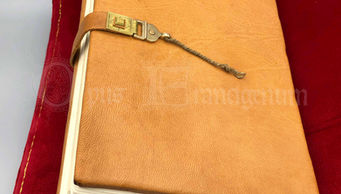 LowQ - IMG_2332.jpg