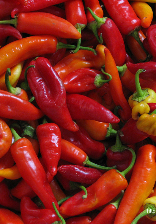 Red Chili Peppers