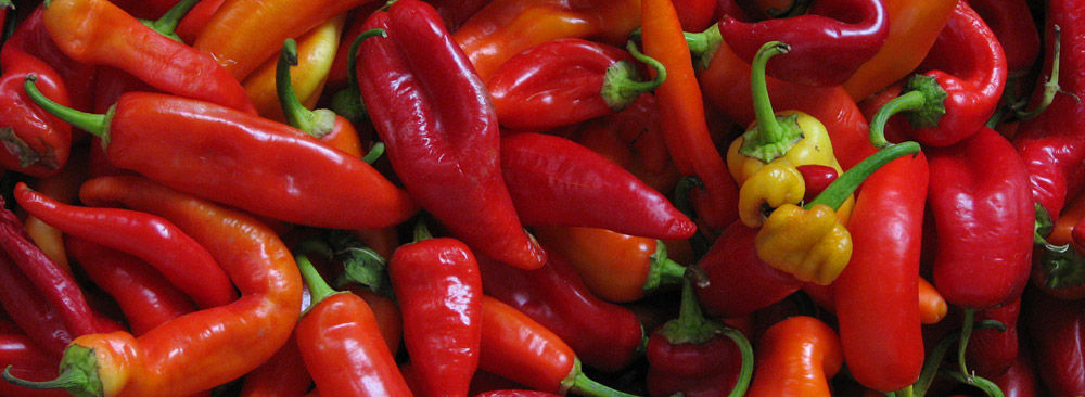 Red Chili Peppers
